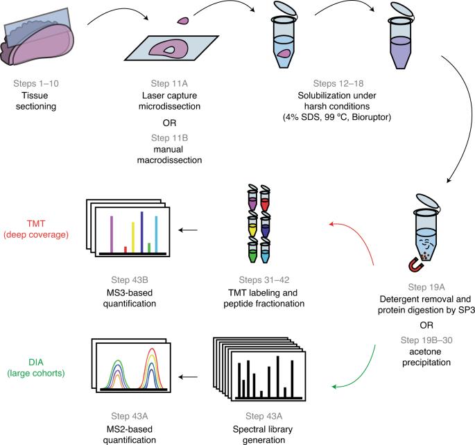 Fig.1 Schematic of FFPE tissue proteomics