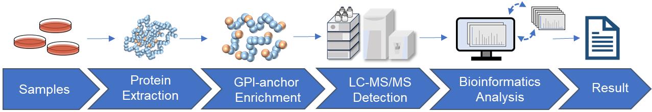 Fig.2 GPI-anchor analysis workflow