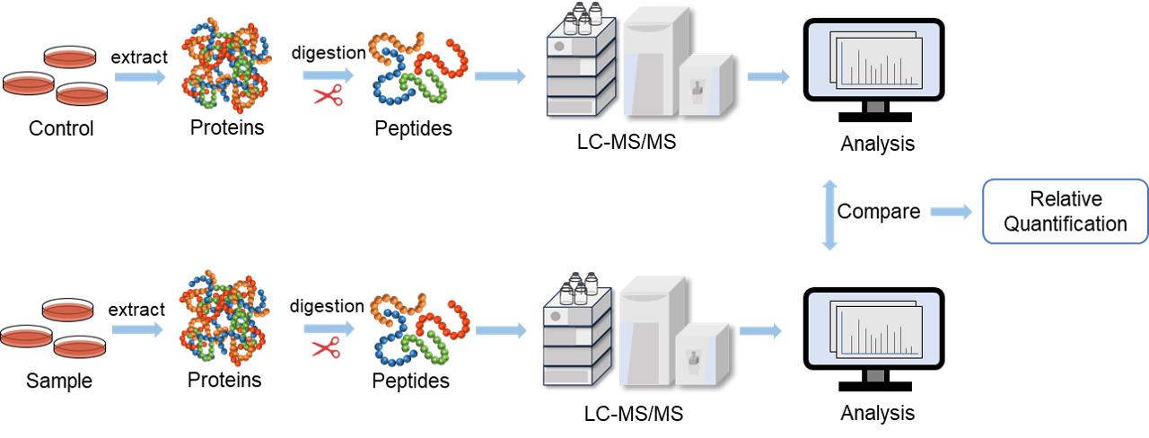 Fig. 2. Label-free proteomics workflow