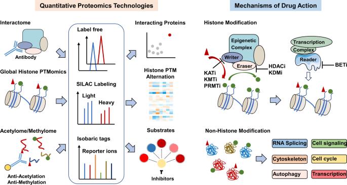 Fig.1 Schematic of meta-PTMomics