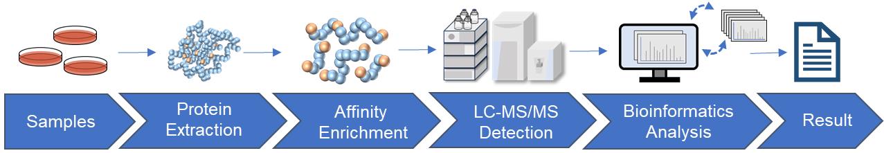 Fig.2 Meta-PTMomics analysis workflow