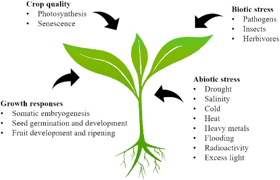 Fig.1 Schematic of plant proteomics