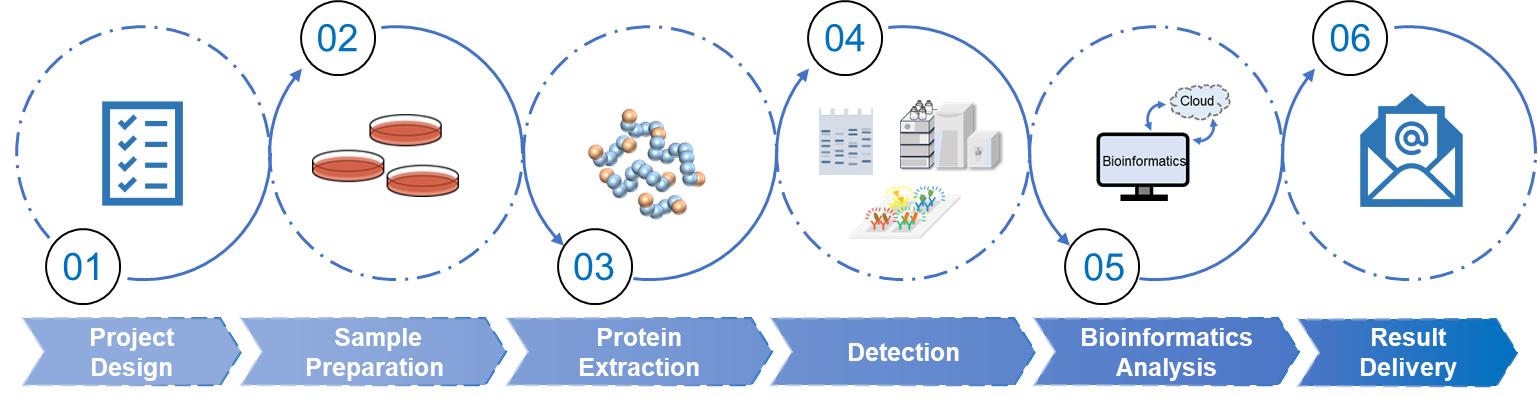 Fig.2 PTM proteomics service workflow