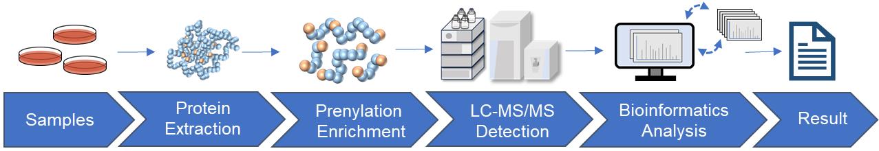 Fig.2 Prenylation analysis workflow