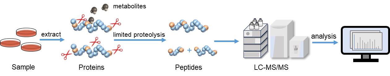 Fig. 2. Protein-metabolite interaction workflow