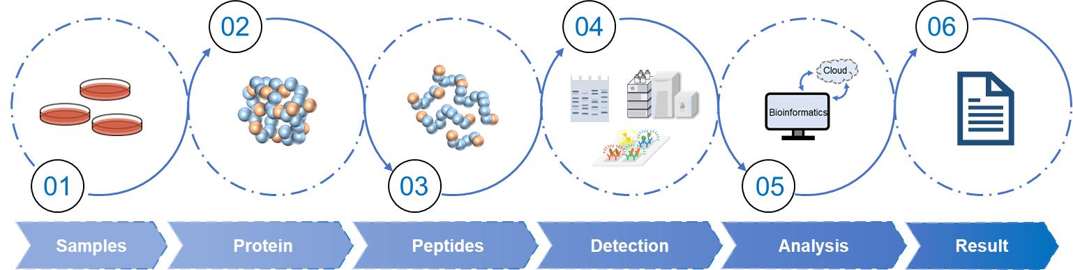 Fig.2 Workflow of PTM qualitative analysis