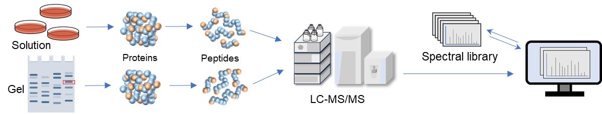 Fig.2 PTM sites identification workflow