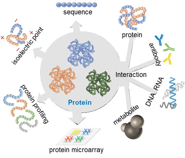 Fig.1. Schematic of quantitative proteomics