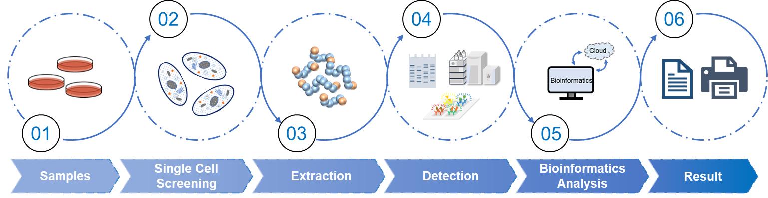 Fig.2 Single-cell proteomics workflow