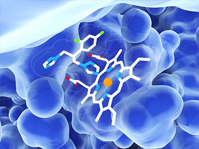 Protein Interaction Analysis Service