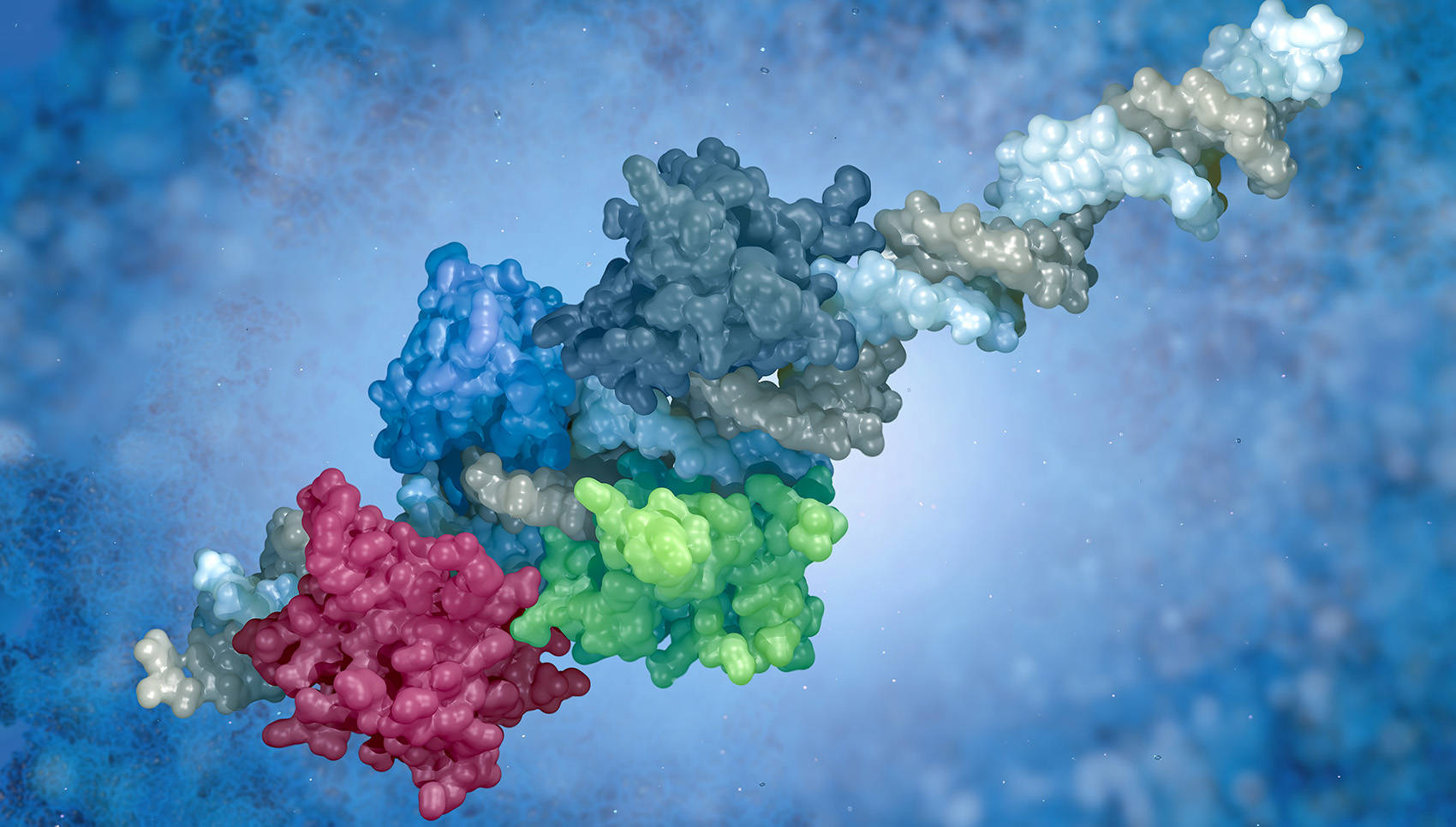 Protein Post-Translational Modifications in Plants