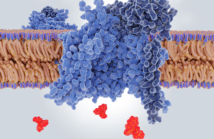 Protein Post-Translational Modifications in Biological Research