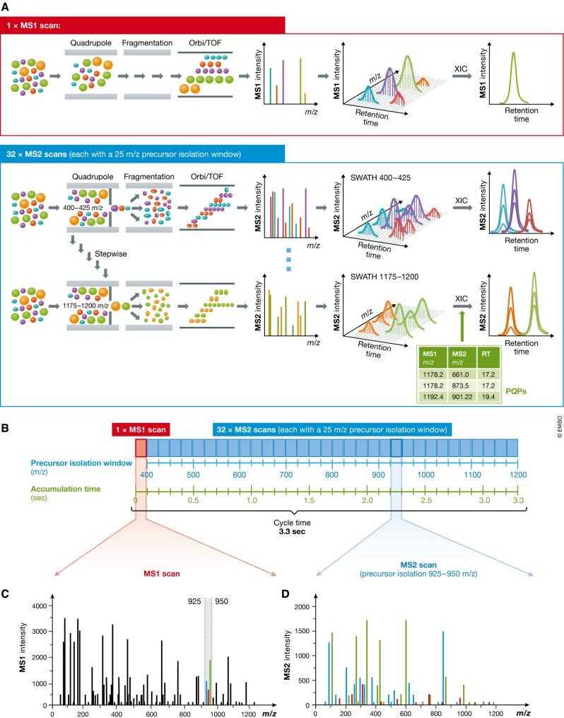 Fig. 1 Principle of sequentially windowed data-independent acquisition in SWATH-MS. (Ludwig, Christina, et al., 2018)