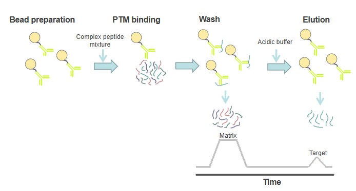 Fig. 1 Method overview for immunoaffinity purification.