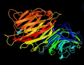 Enrichment of Modified Peptides Using Multilectin Affinity Chromatography (M-LAC)