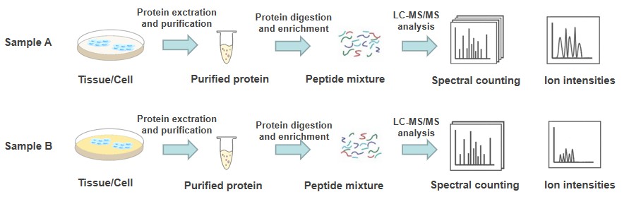 Overview of label-free quantification-Creative Proteomics