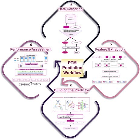 Overview of PTM site identification