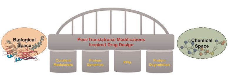 Fig. 1 Proposed PTMI‐DD could function as a bridge linking the infinite chemical space and finite biological space.