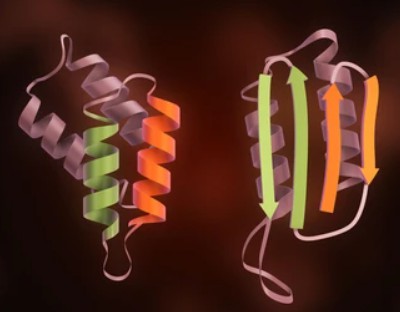 Research on viral protein PTMs