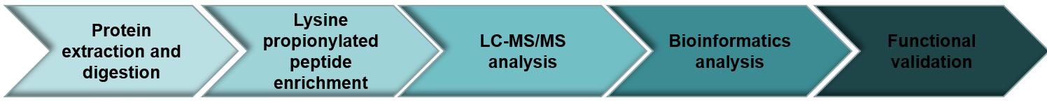 Workflow of protein propionylation analysis