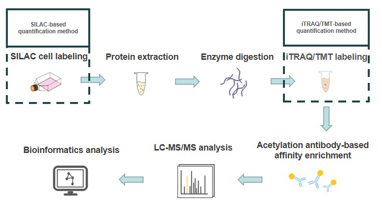 Quantitative Acetylomics Analysis Service