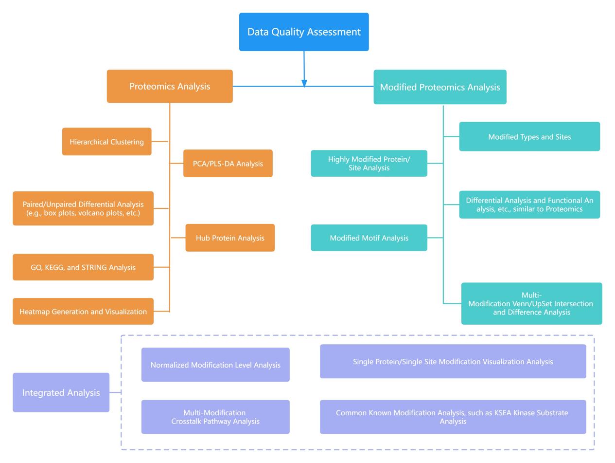 Data Process