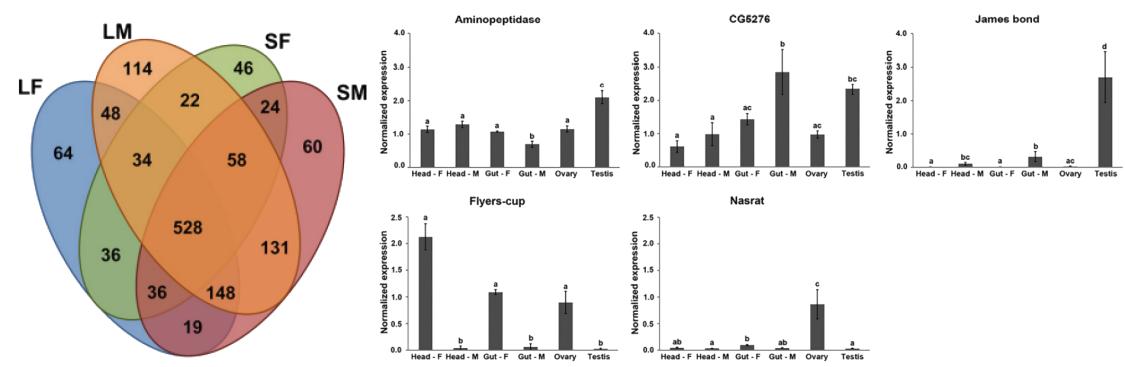 N-glycan profiling of a glycoprotein mixture.