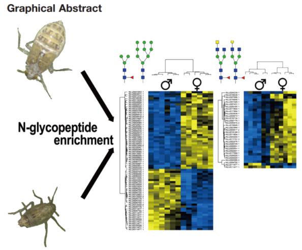 N-glycan profiling of a glycoprotein mixture.