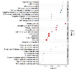 Gene Ontology Functional Analysis