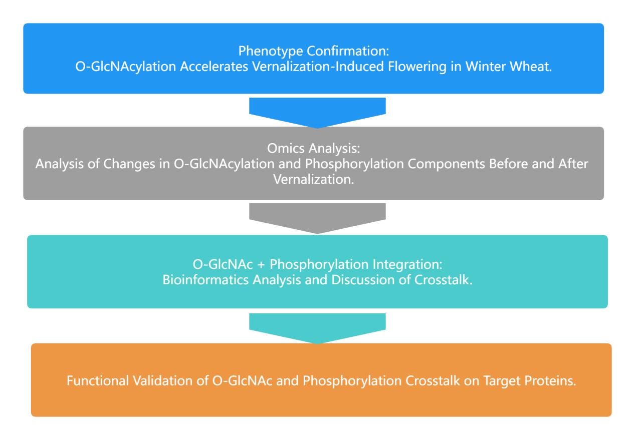 Research Approach