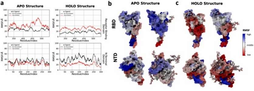 Protein Drug Glycosylation Analysis