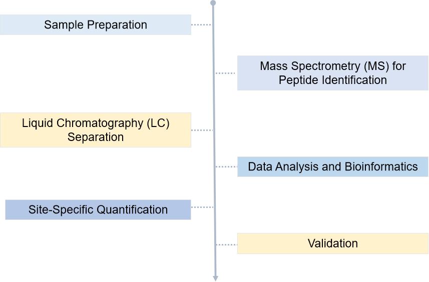 Fig. 1. Our Service Workflow - Creative Proteomics