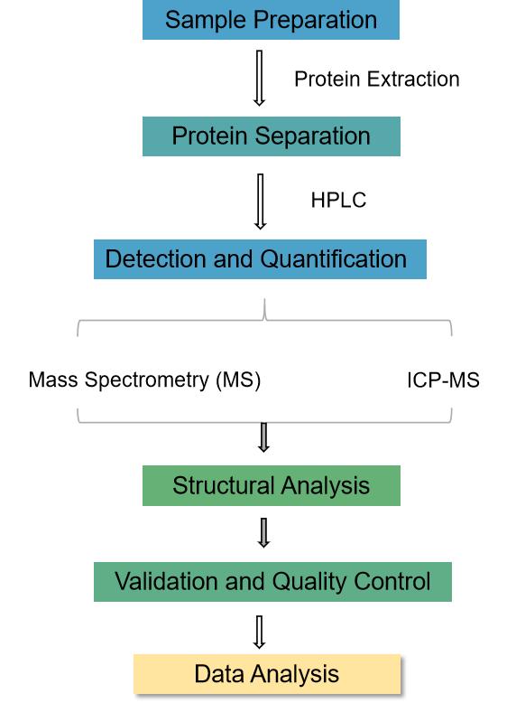 Fig. 1. Our service workflow - Creative Proteomics