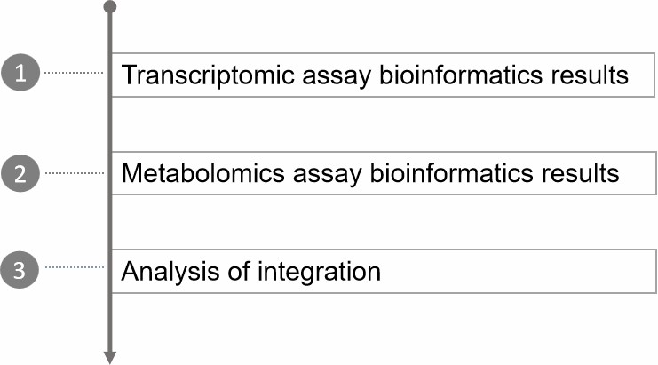 Our service workflow - Creative Proteomics