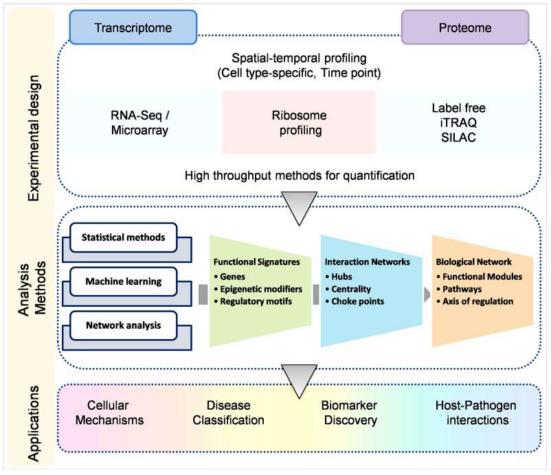 Integrating transcriptomics and proteomics to decipher disease biology