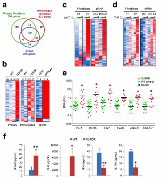 Integrated Genomics and Transcriptomics Analysis