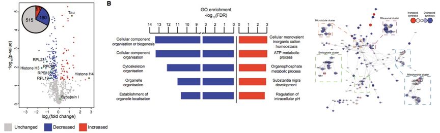 Discovering New Disease Markers through Exosome Proteomics