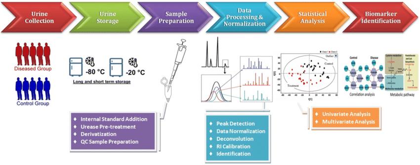 Figure:Workflow of GC–MS-based untargeted metabolomic analysis of urine.