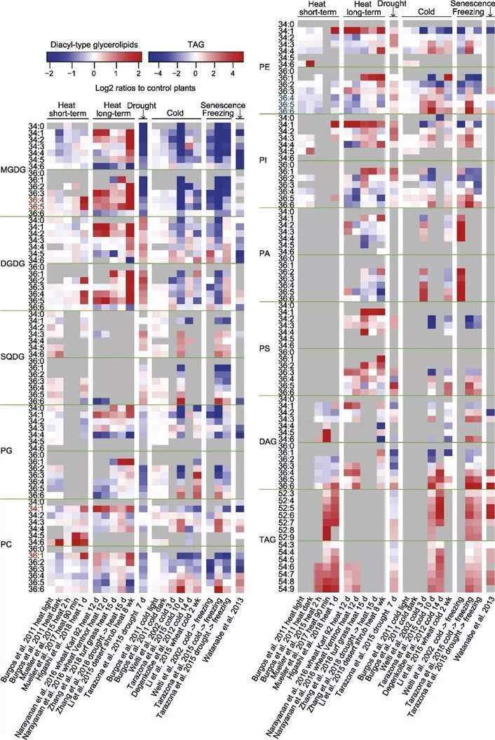 Leaf glycerolipid compositional changes under heat stress and other abiotic stresses.