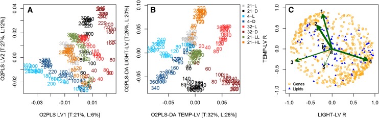 Lipidomics for Arabidopsis Plant Model Systems Analysis