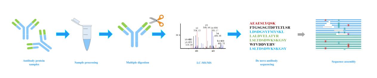 De Novo Antibody Sequencing