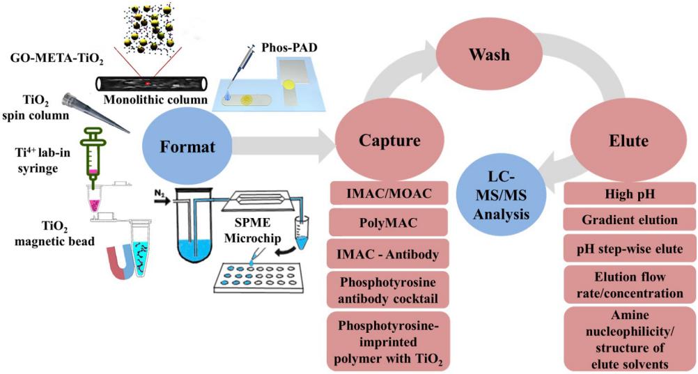 Phosphopeptide enrichment workflow