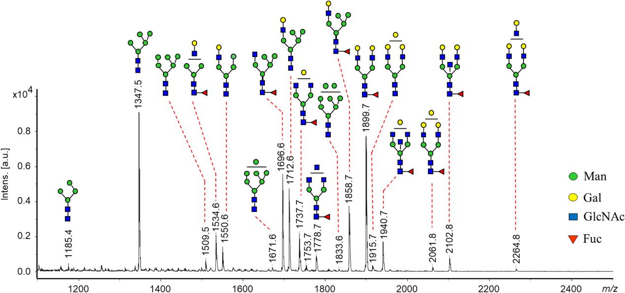 MALDI-MS spectrum of N-glycans recorded from SDS-purified E glycoprotein of TBEV grown in human neuroblastoma cells (UKF-NB4)