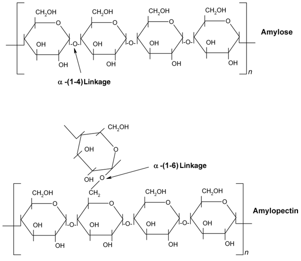 Starch Analysis