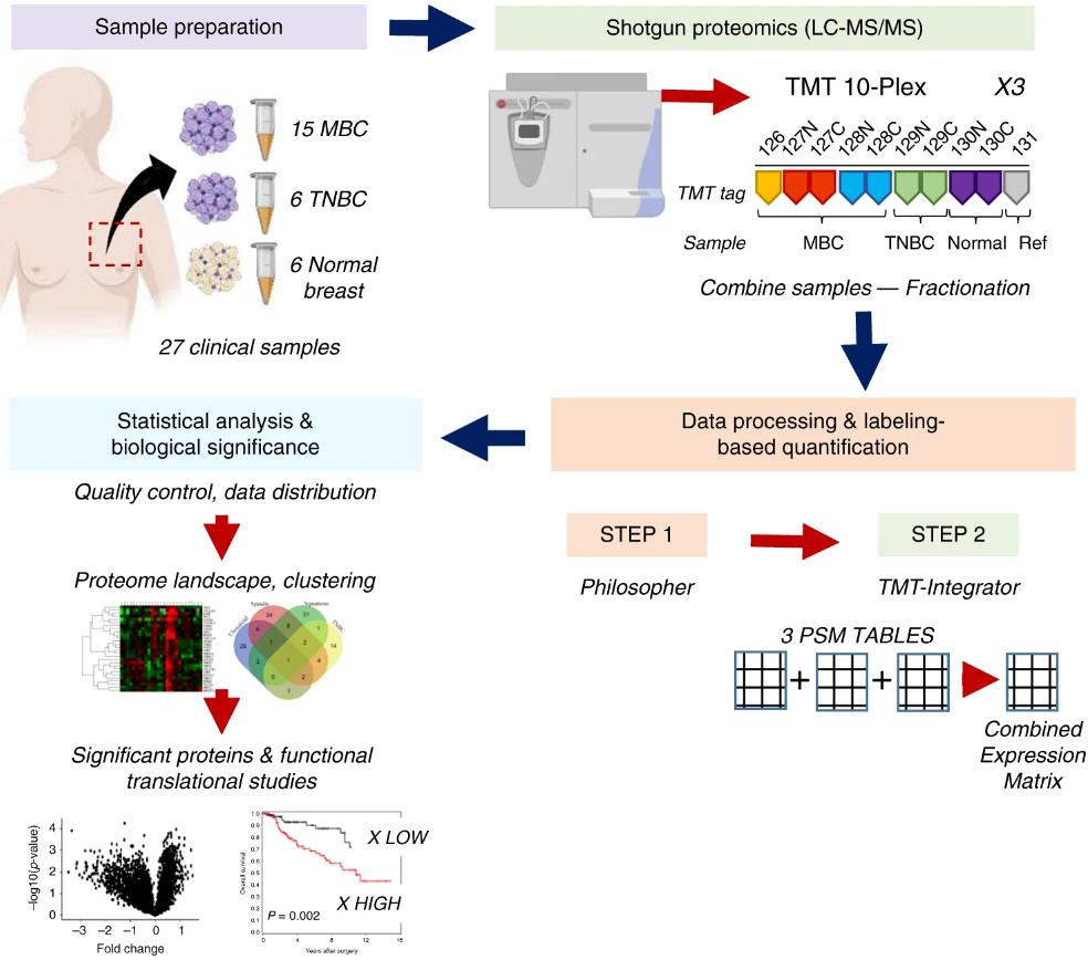 Workflow of quantitative mass spectrometry profiling