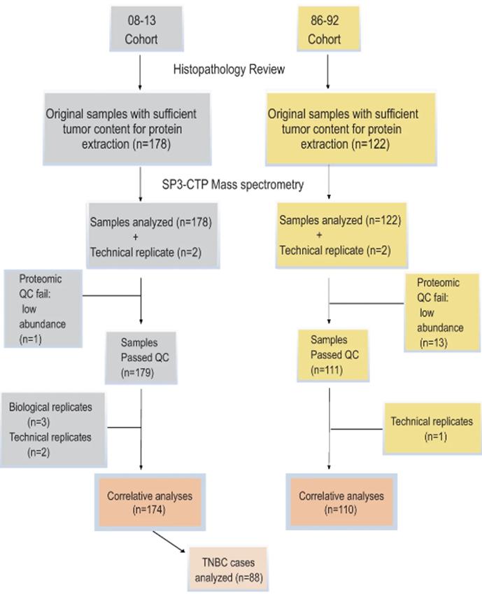 CONSORT flow diagram depicting the workflow numbers for the cases included in the study cohorts