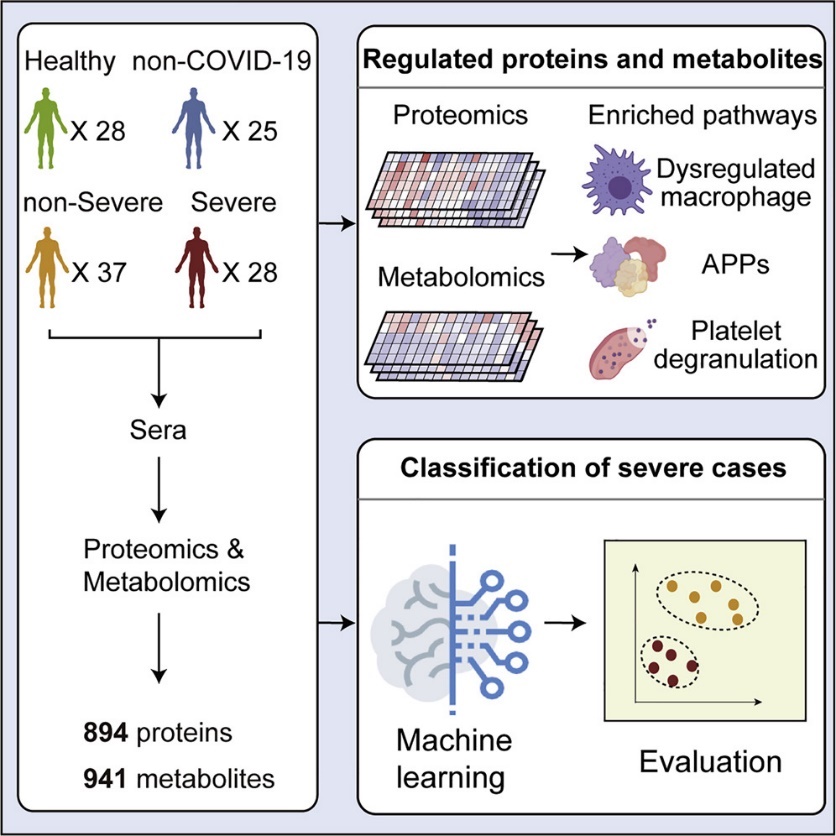 TMT/SILAC/DDA Proteomics Technologies Fuel COVID-19 Mechanisms and Therapeutic Research