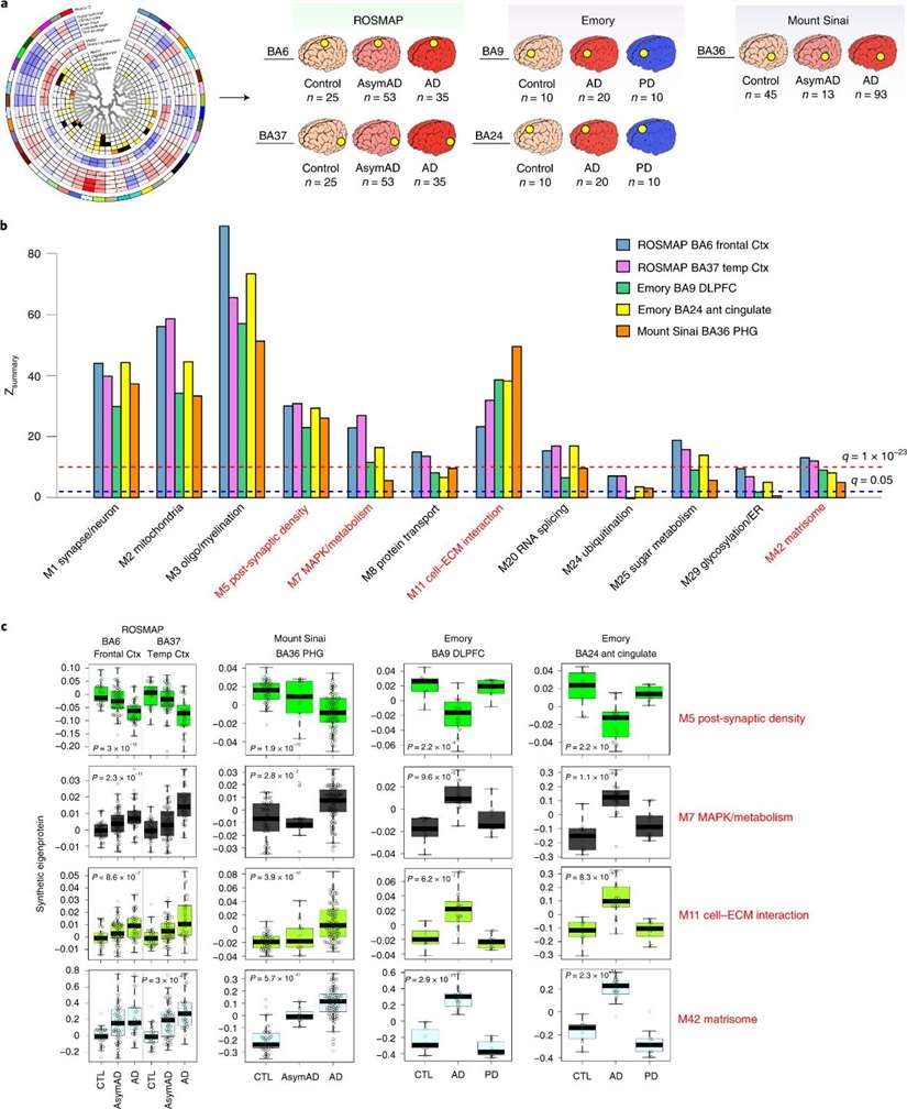 Preservation of the TMT AD network across different cohorts, centers, methods and brain regions.