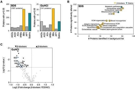 Extracellular matrix remodeling in ischemic heart failure