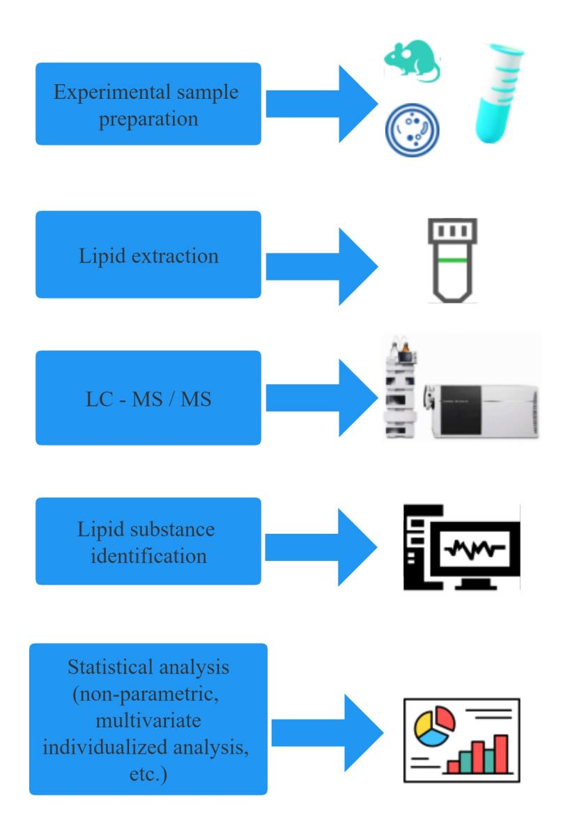 Untargeted Lipidomics (Lipidomics Profiling)